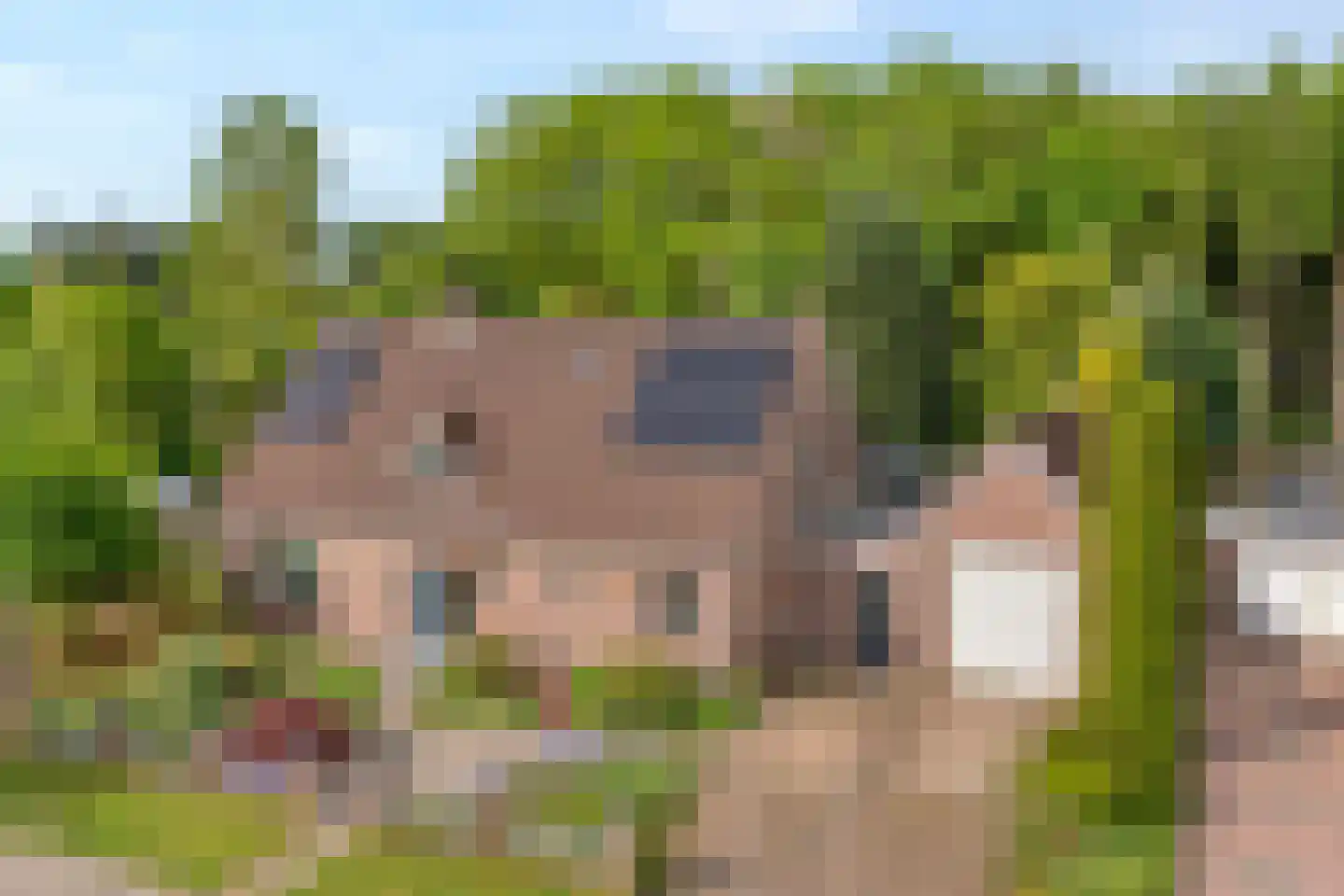 Westerlaan 7 Tiendeveen thumbnail 71