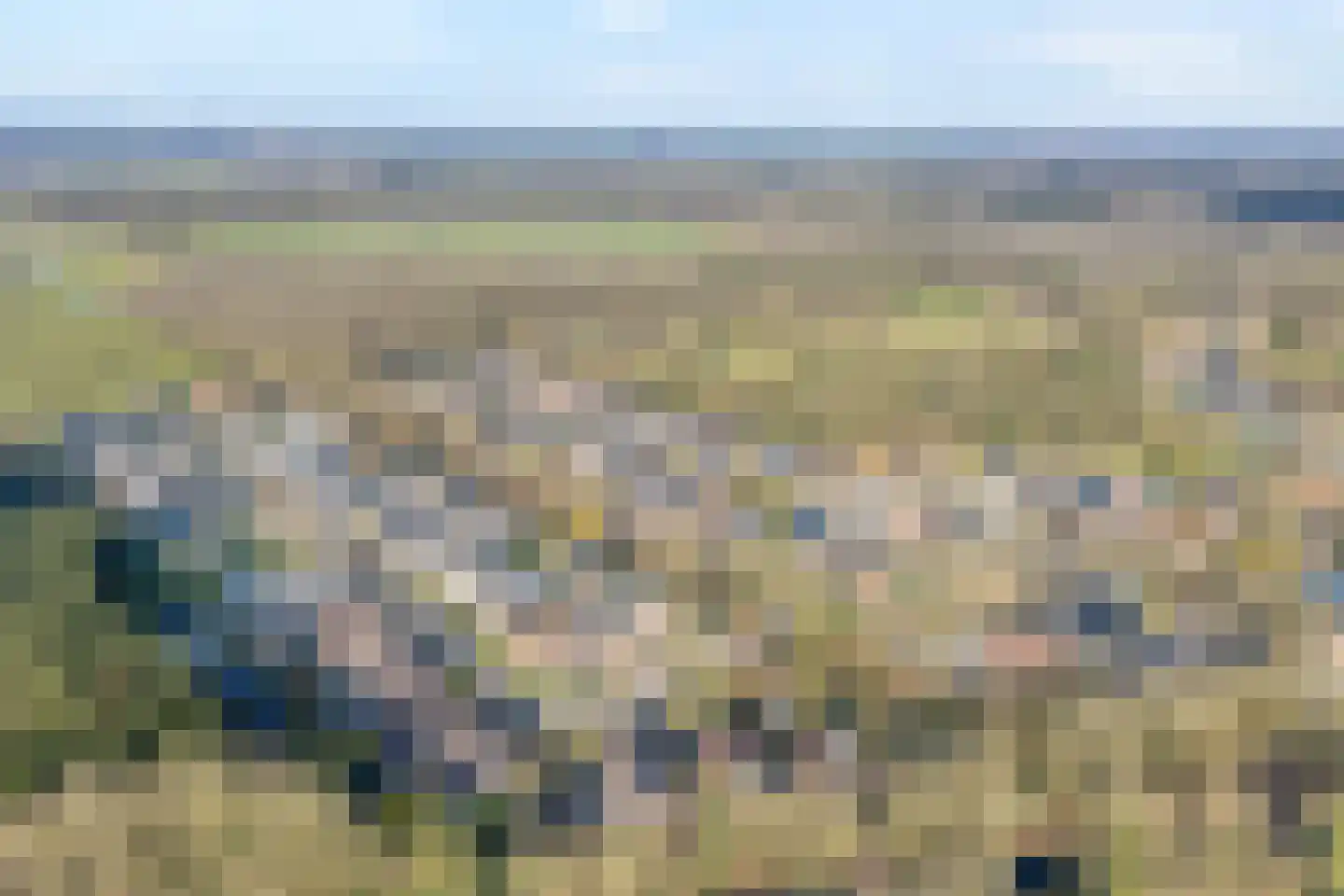 Westerlaan 7 Tiendeveen thumbnail 72
