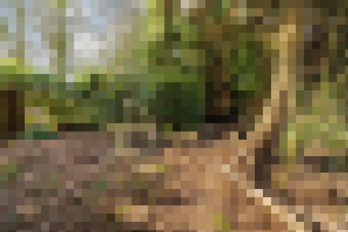 Westerlaan 7 Tiendeveen thumbnail 72