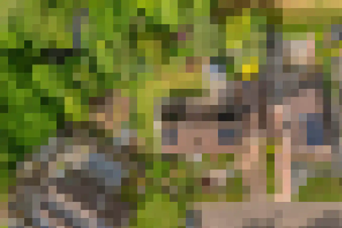 Westerlaan 7 Tiendeveen thumbnail 75