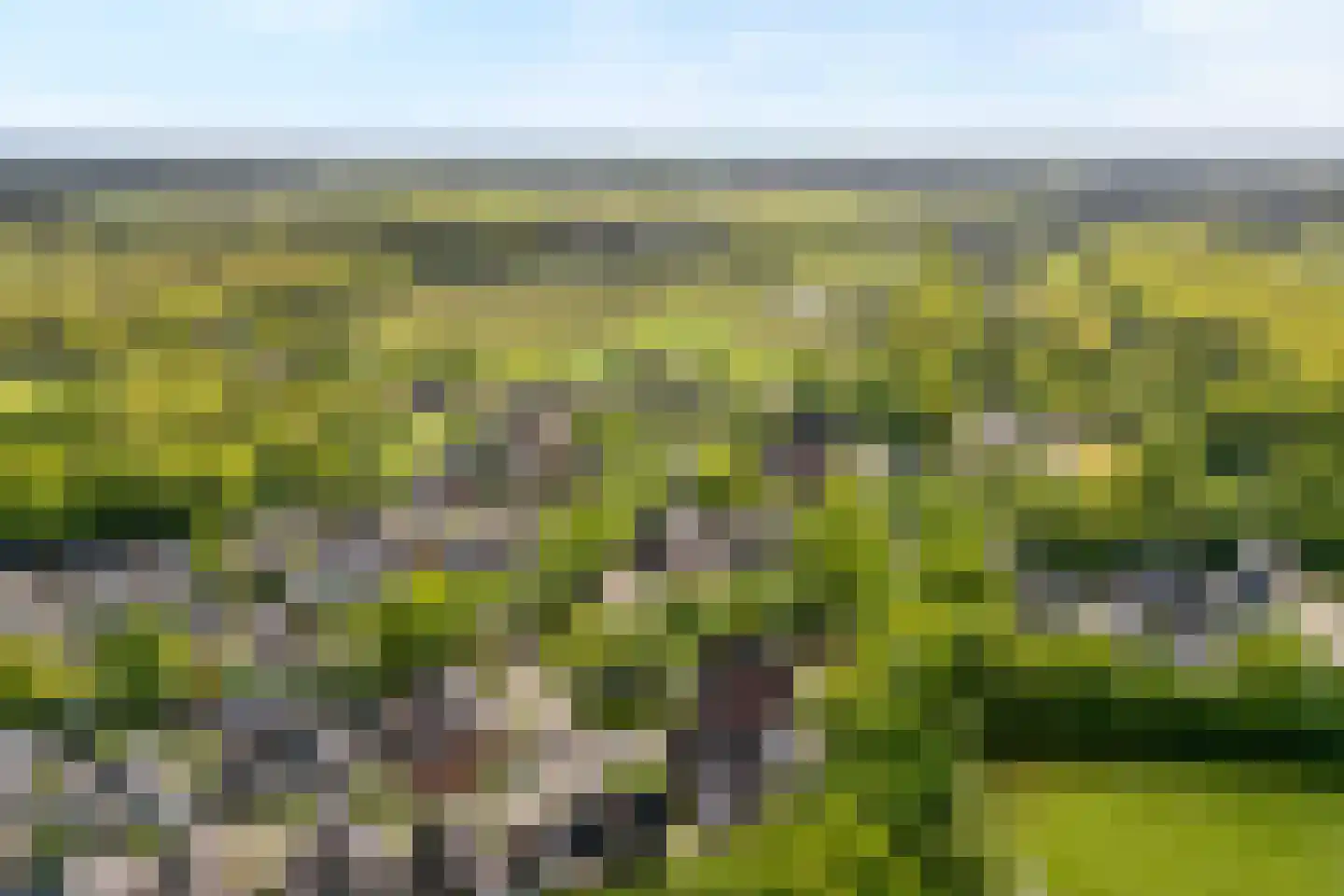 Westerlaan 7 Tiendeveen thumbnail 76