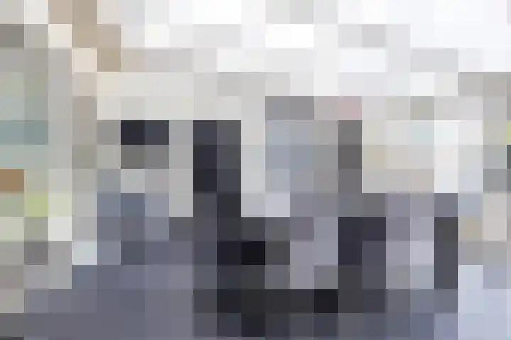 Westerlaan 8 Hoogezand thumbnail 17