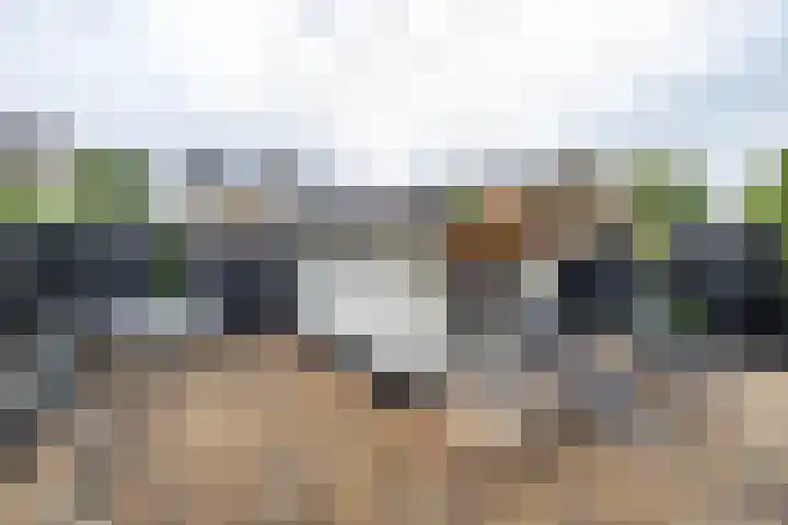 Westerlaan 8 Hoogezand thumbnail 23