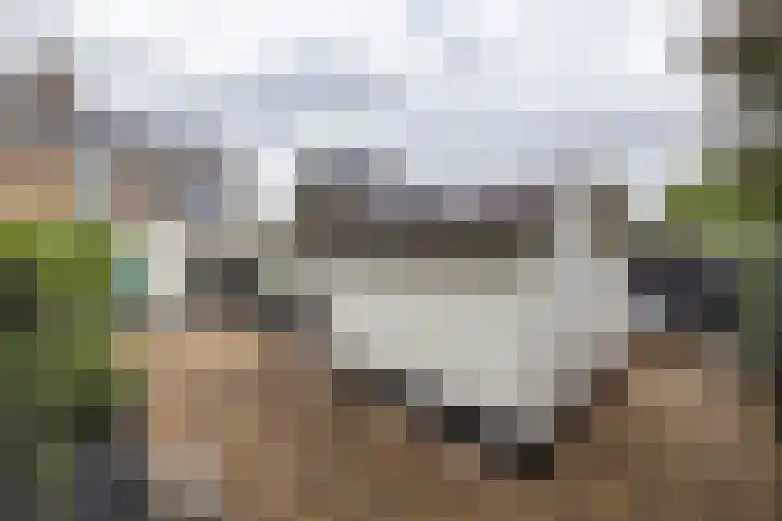 Westerlaan 8 Hoogezand thumbnail 24