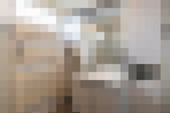 Westerlaan 8 Hoogezand thumbnail 36