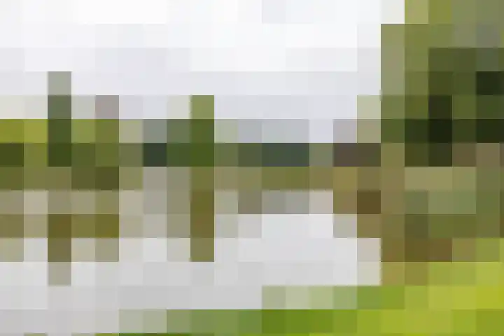 Westerlaan 8 Hoogezand thumbnail 4