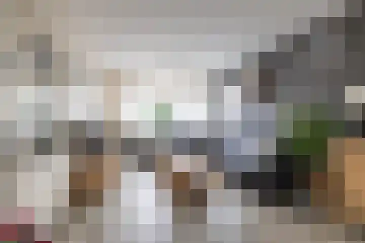 Westerlaan 8 Hoogezand thumbnail 7