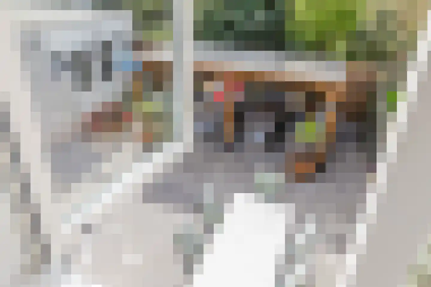 Westerland 3 Bergen op Zoom thumbnail 34
