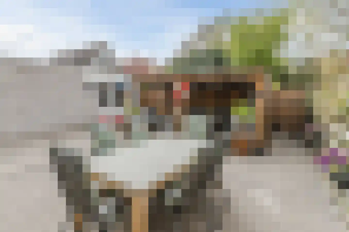 Westerland 3 Bergen op Zoom thumbnail 39