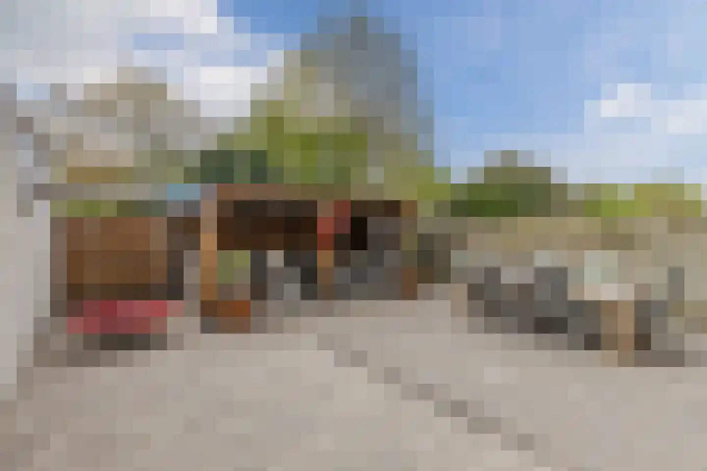 Westerland 3 Bergen op Zoom thumbnail 4
