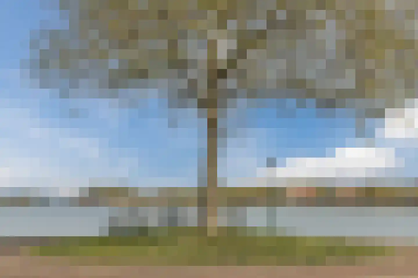 Westerland 3 Bergen op Zoom thumbnail 45