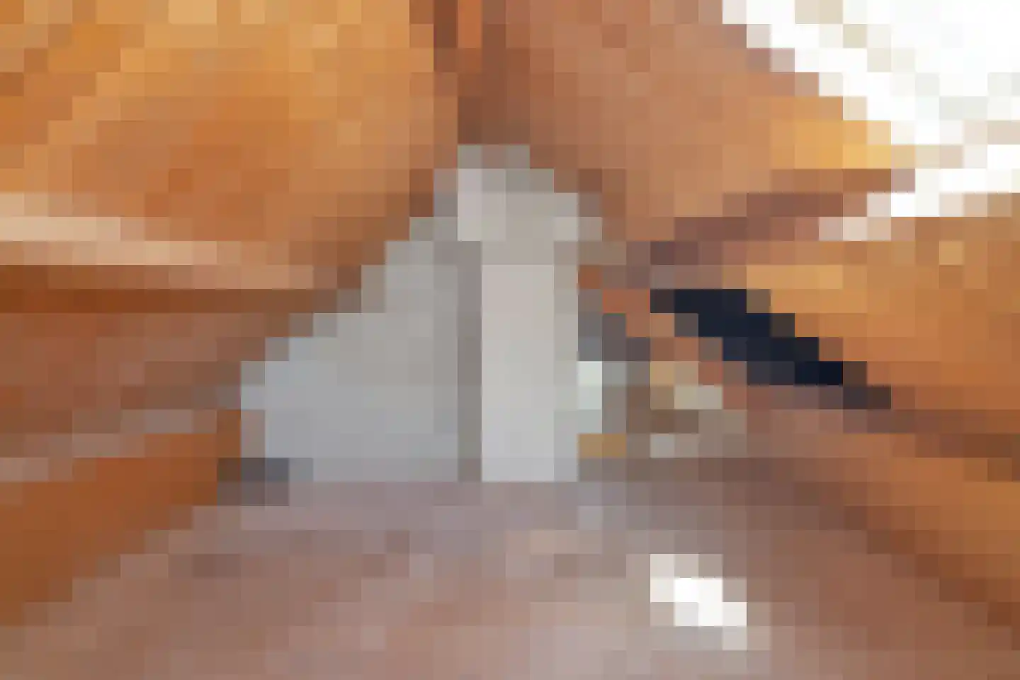 Westerlanderlaan 7 Westerland thumbnail 31