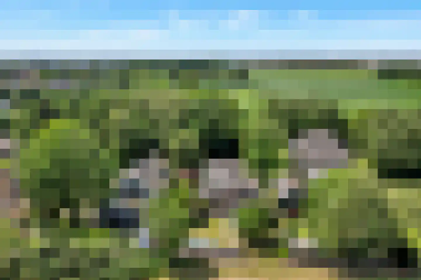 Westerlanderlaan 7 Westerland thumbnail 36