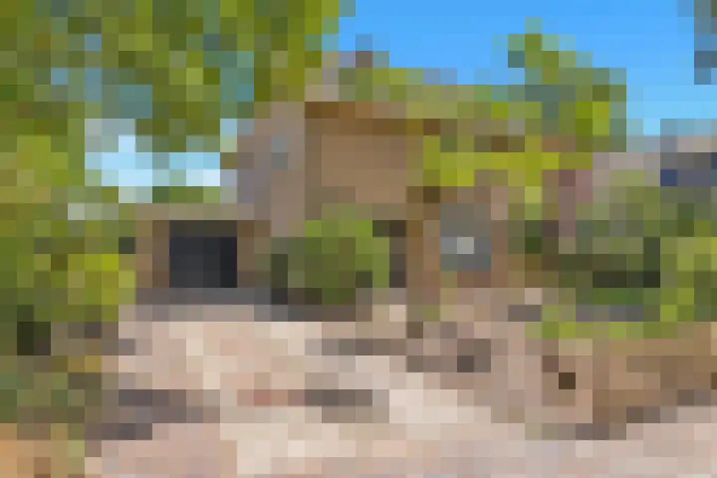 Westerlanderlaan 7 Westerland thumbnail 4