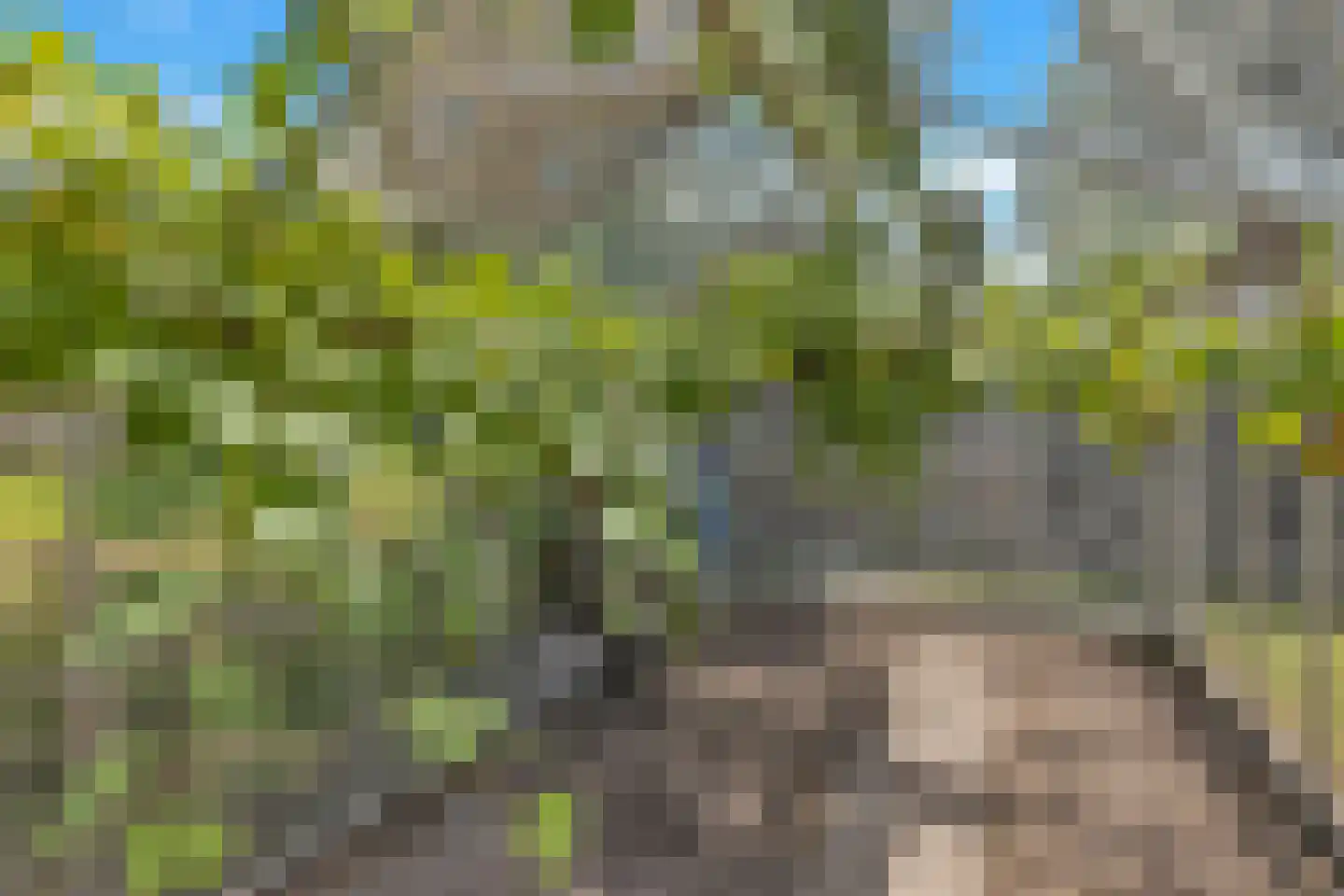 Westerlanderlaan 7 Westerland thumbnail 41