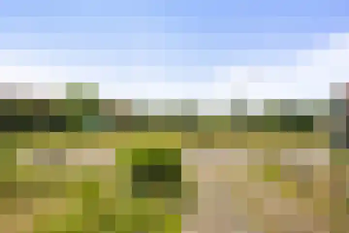 Westerlanderweg 106 Westerland thumbnail 23