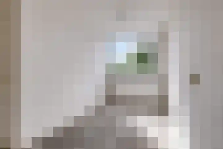 Westerlengte 119 Amsterdam thumbnail 11