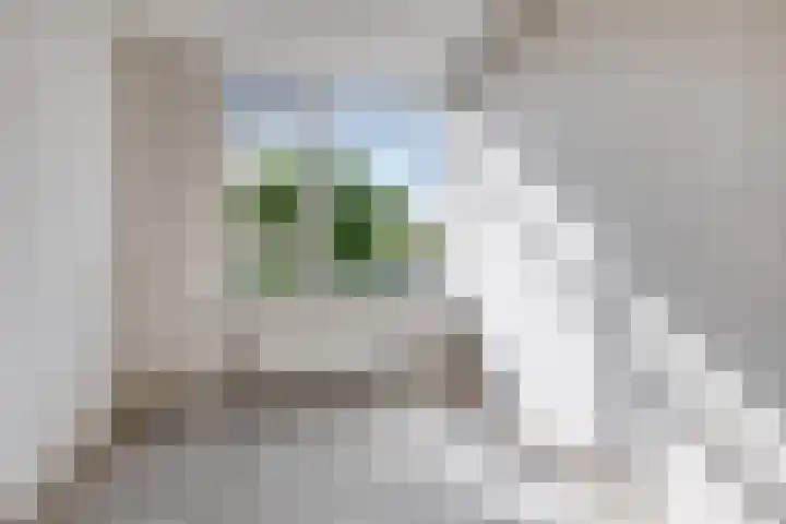 Westerlengte 119 Amsterdam thumbnail 12