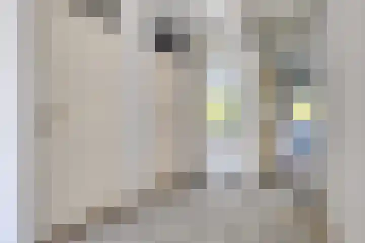 Westerlengte 119 Amsterdam thumbnail 16