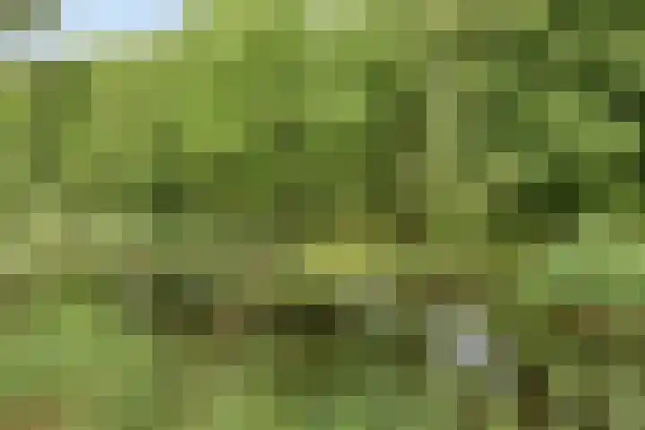 Westerlengte 119 Amsterdam thumbnail 22