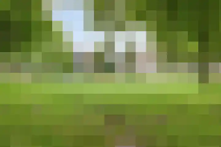 Westerlengte 119 Amsterdam thumbnail 23
