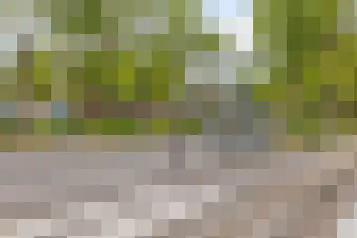 Westerlengte 119 Amsterdam thumbnail 24