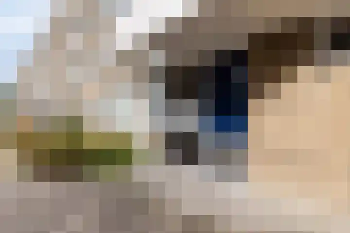 Westerlengte 119 Amsterdam thumbnail 25