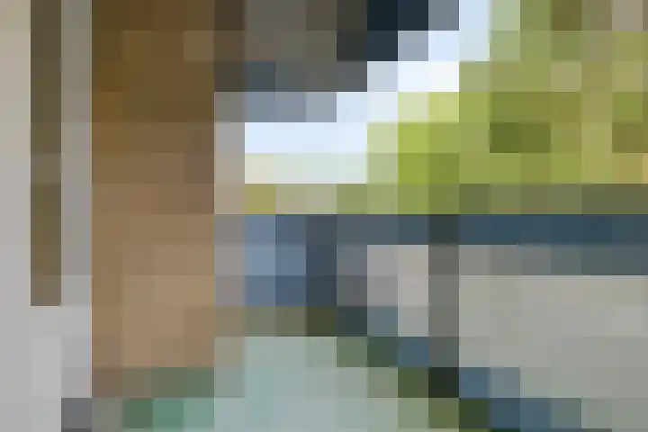 Westerlengte 119 Amsterdam thumbnail 5