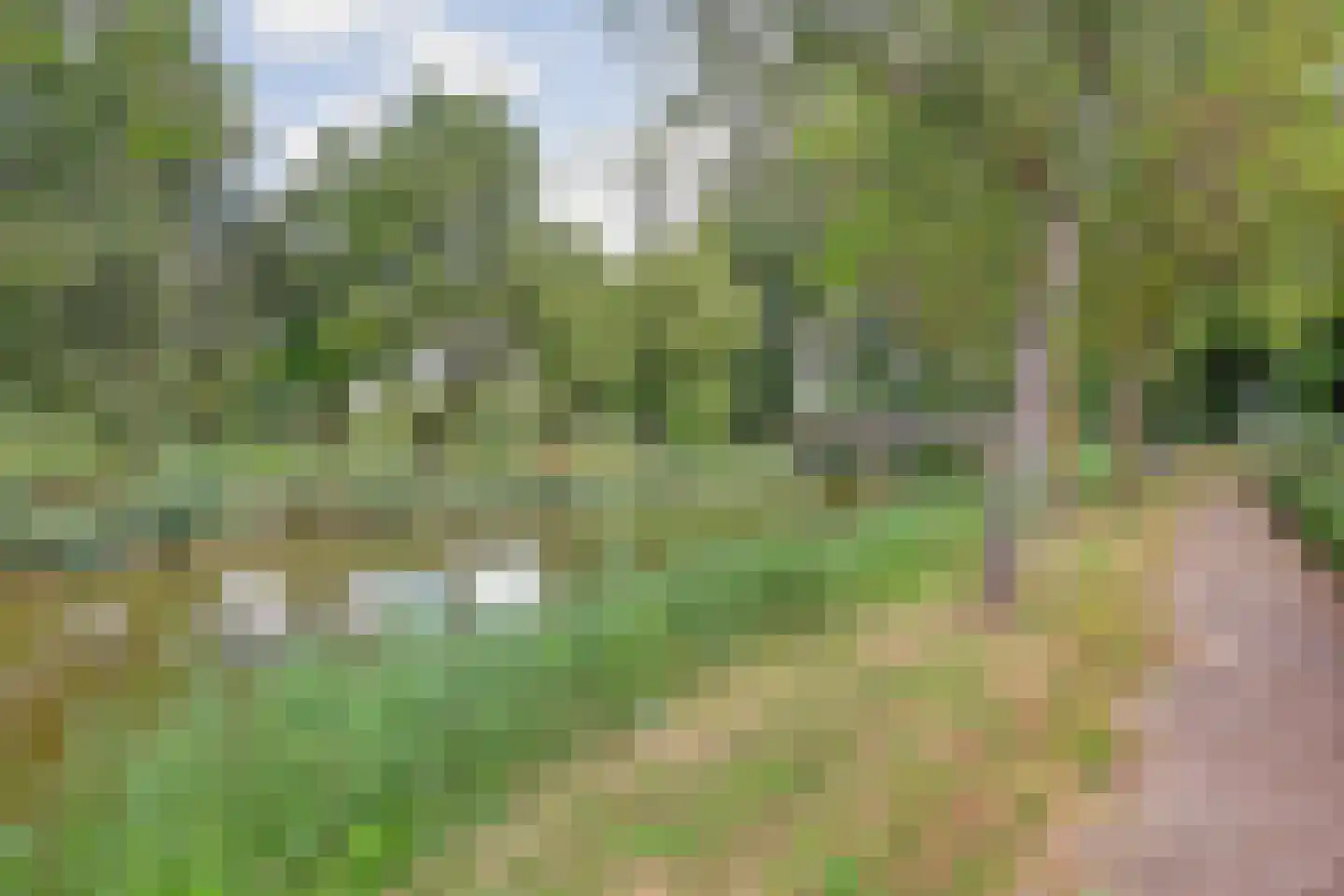 Westerlengte 175 Amsterdam thumbnail 33