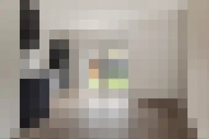 Westerloane 14 Broeksterwâld thumbnail 11