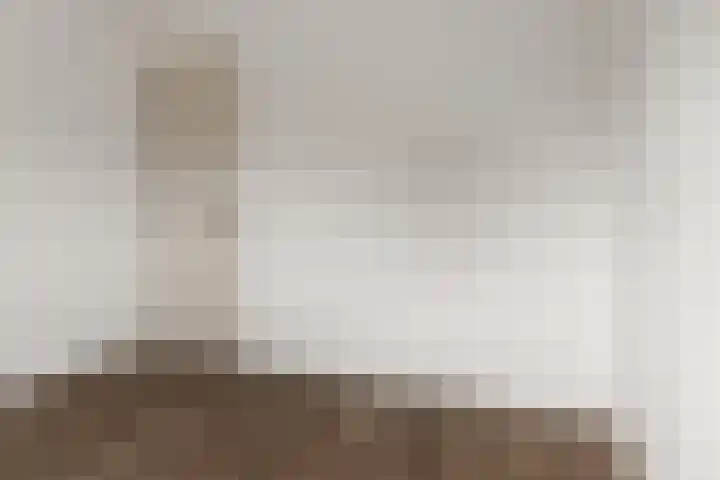 Westerloane 14 Broeksterwâld thumbnail 16