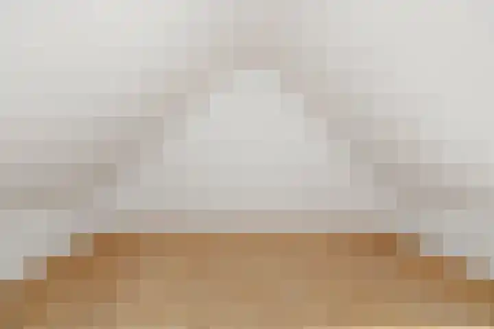 Westerloane 14 Broeksterwâld thumbnail 29