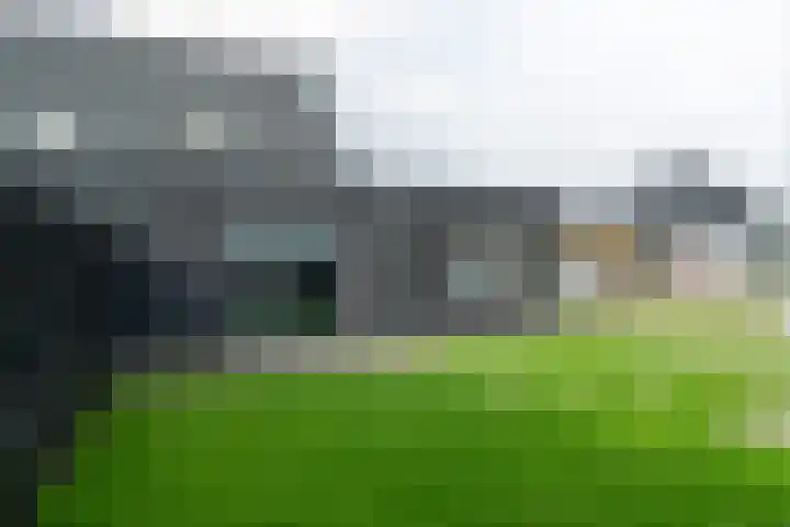 Westerloane 14 Broeksterwâld thumbnail 31