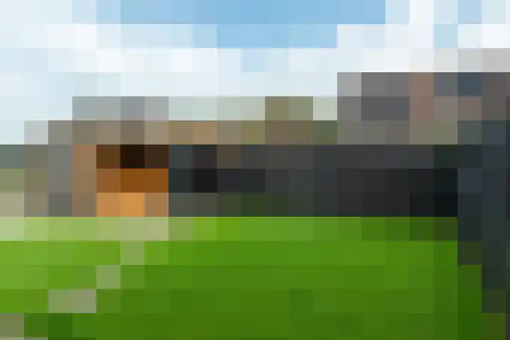 Westerloane 14 Broeksterwâld thumbnail 33