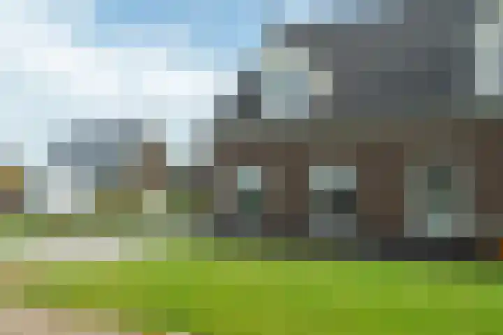 Westerloane 14 Broeksterwâld thumbnail 34