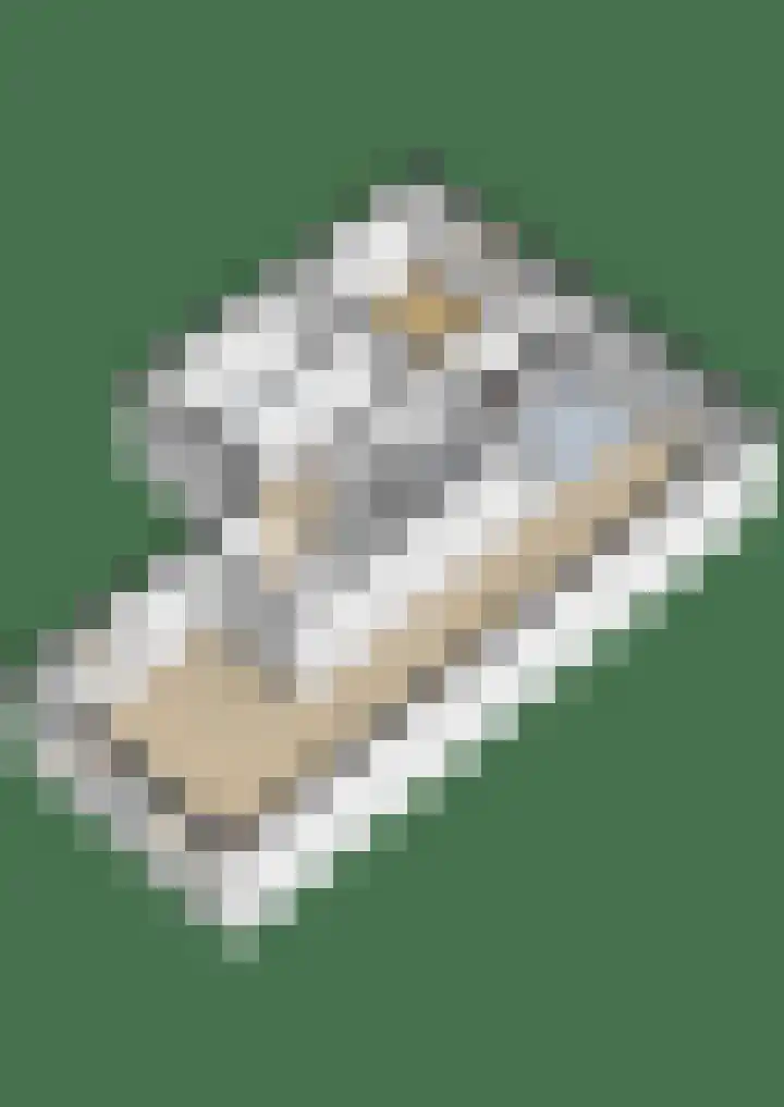Westerloane 14 Broeksterwâld thumbnail 40