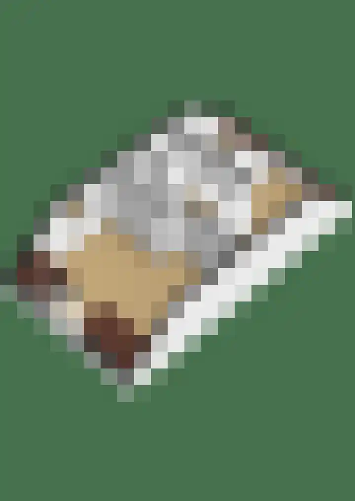 Westerloane 14 Broeksterwâld thumbnail 41