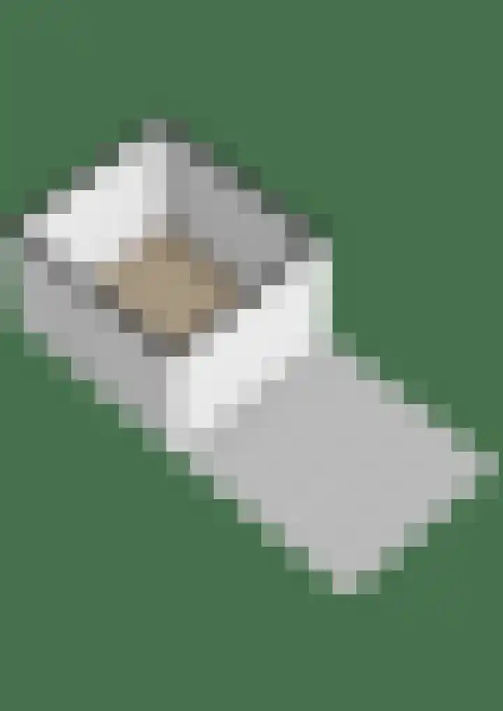 Westerloane 14 Broeksterwâld thumbnail 43