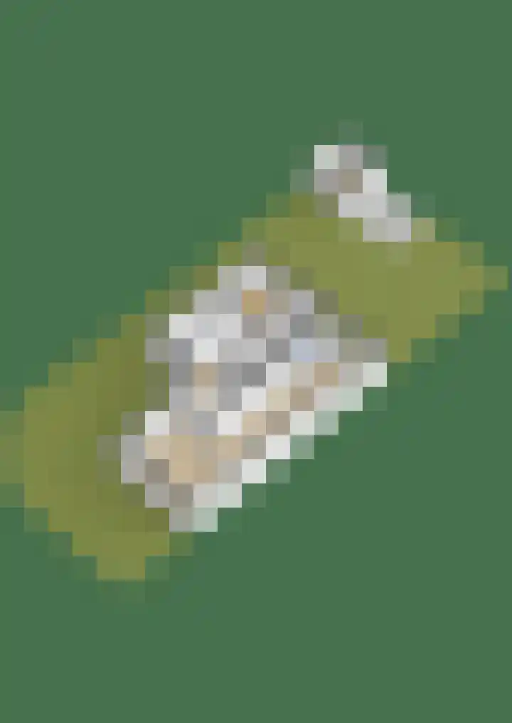 Westerloane 14 Broeksterwâld thumbnail 44
