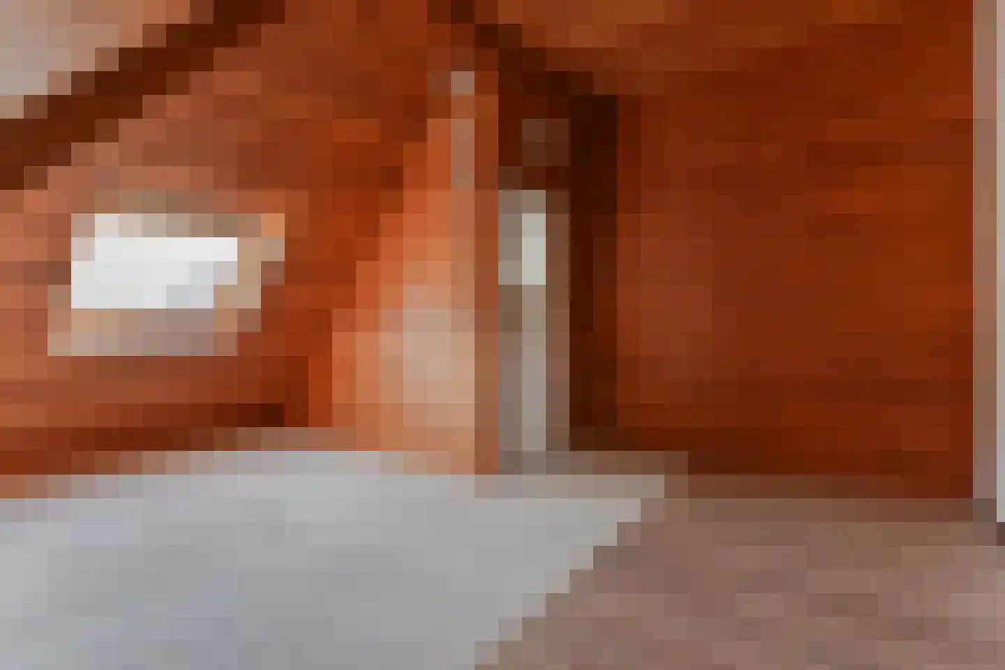 Westerlookade 2 Voorburg thumbnail 22