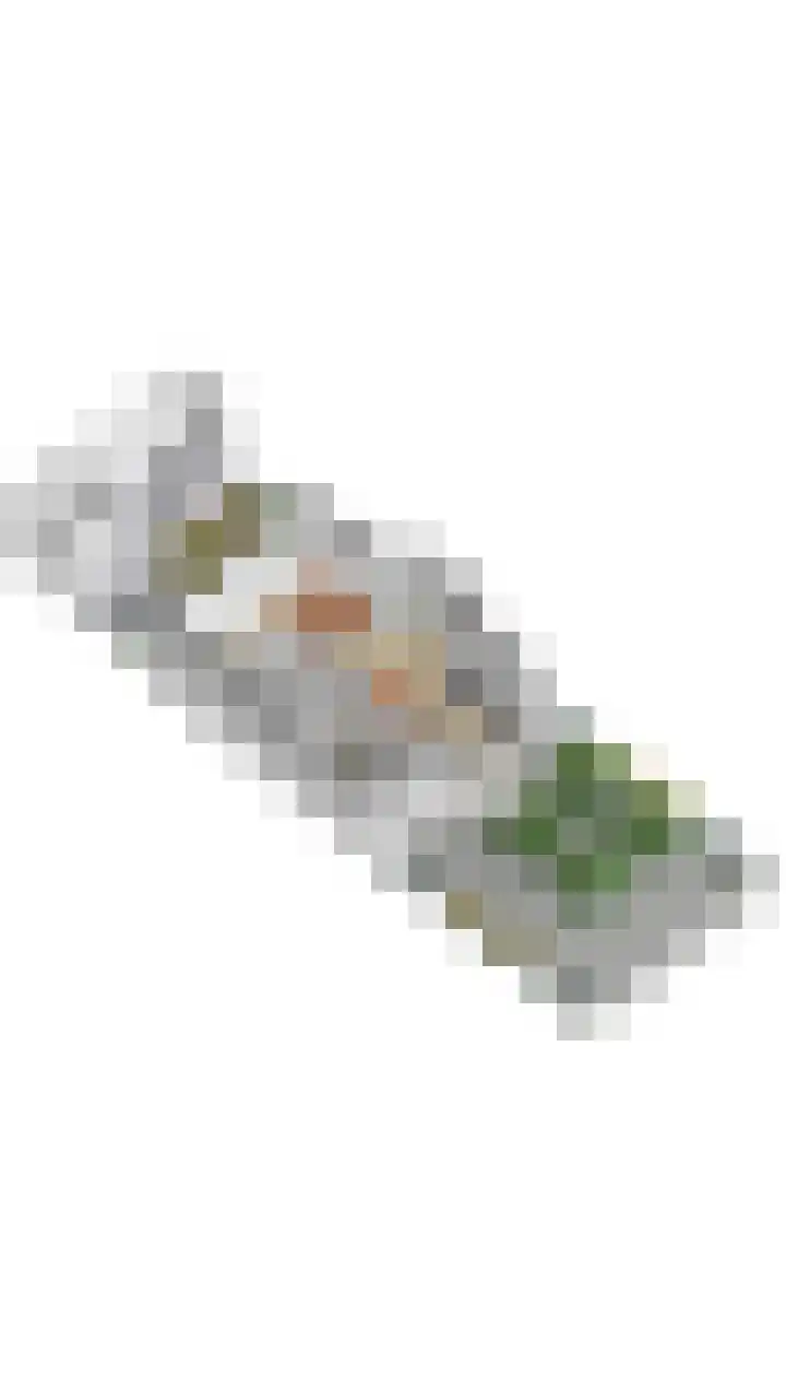 Westerlookade 22 Voorburg thumbnail 35