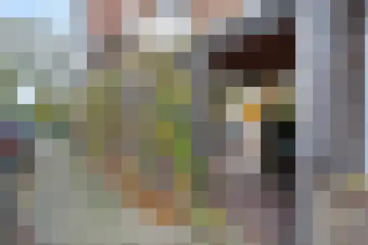 Westerlookade 22 Voorburg thumbnail 40