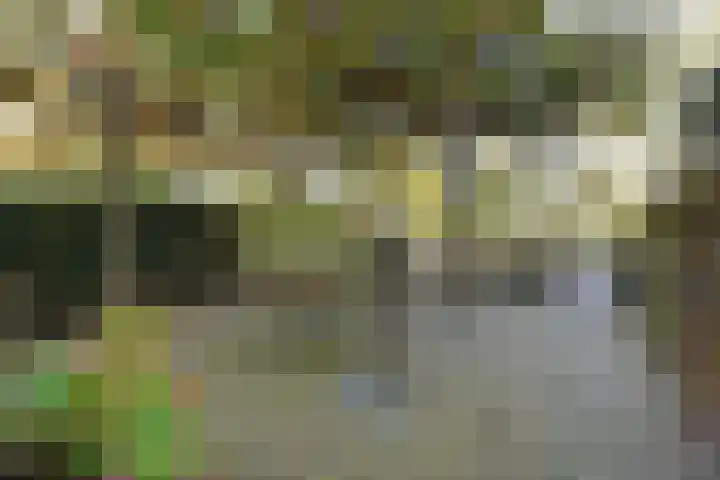 Westerlookade 22 Voorburg thumbnail 5