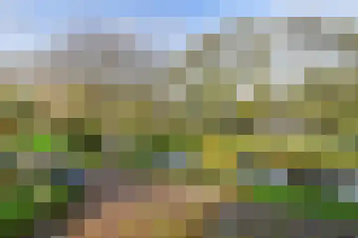 Westerlookade 22 Voorburg thumbnail 63