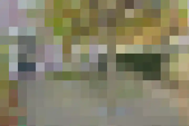 Westerlookade 22 Voorburg thumbnail 9