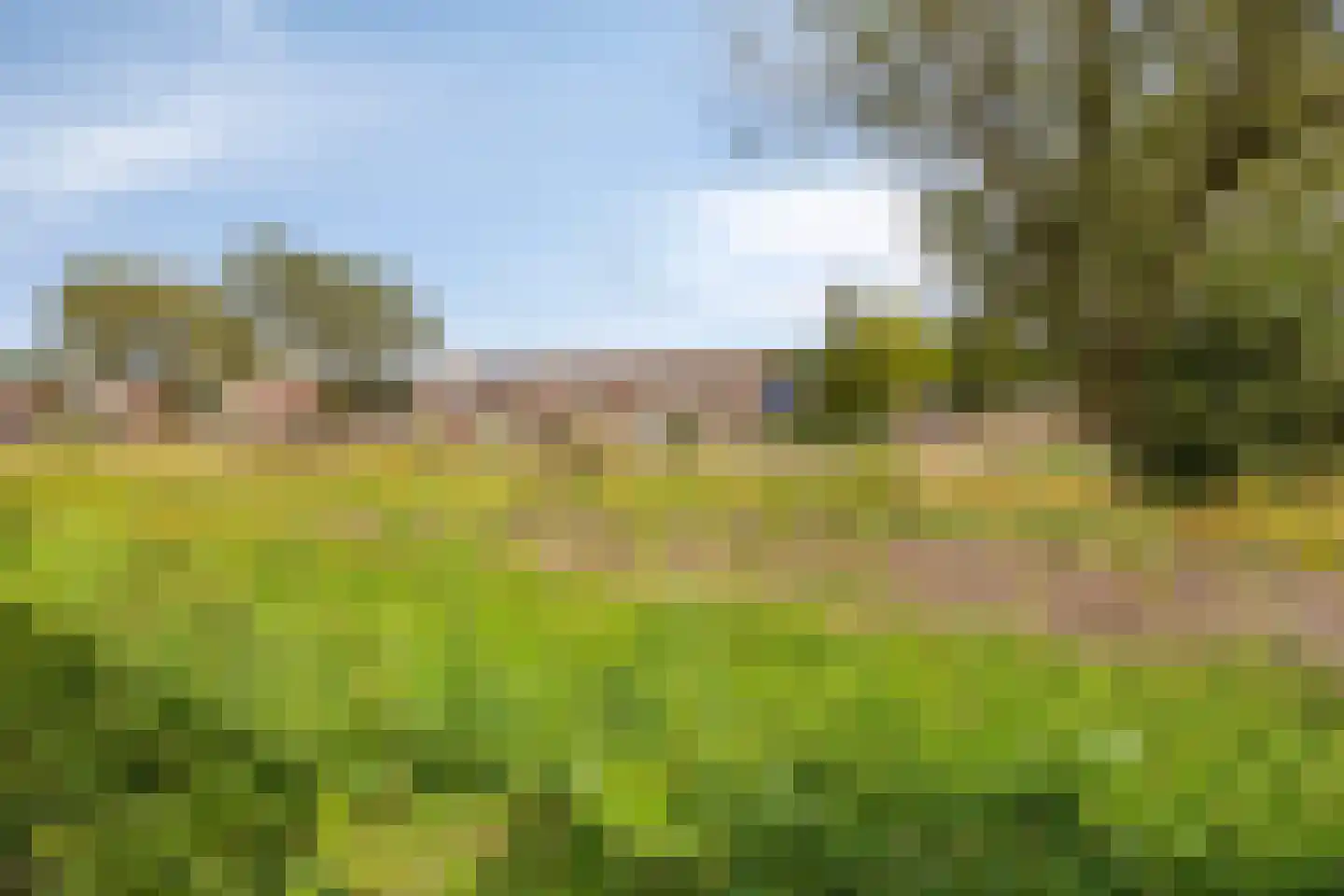 Westermaad 94 Oosterwolde thumbnail 39