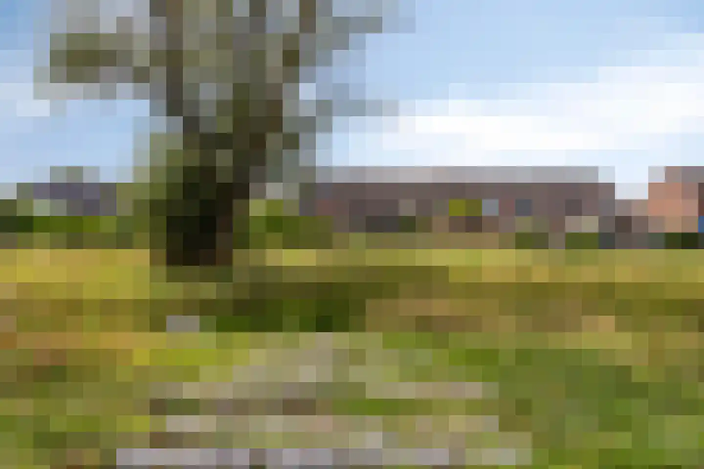 Westermaad 94 Oosterwolde thumbnail 40