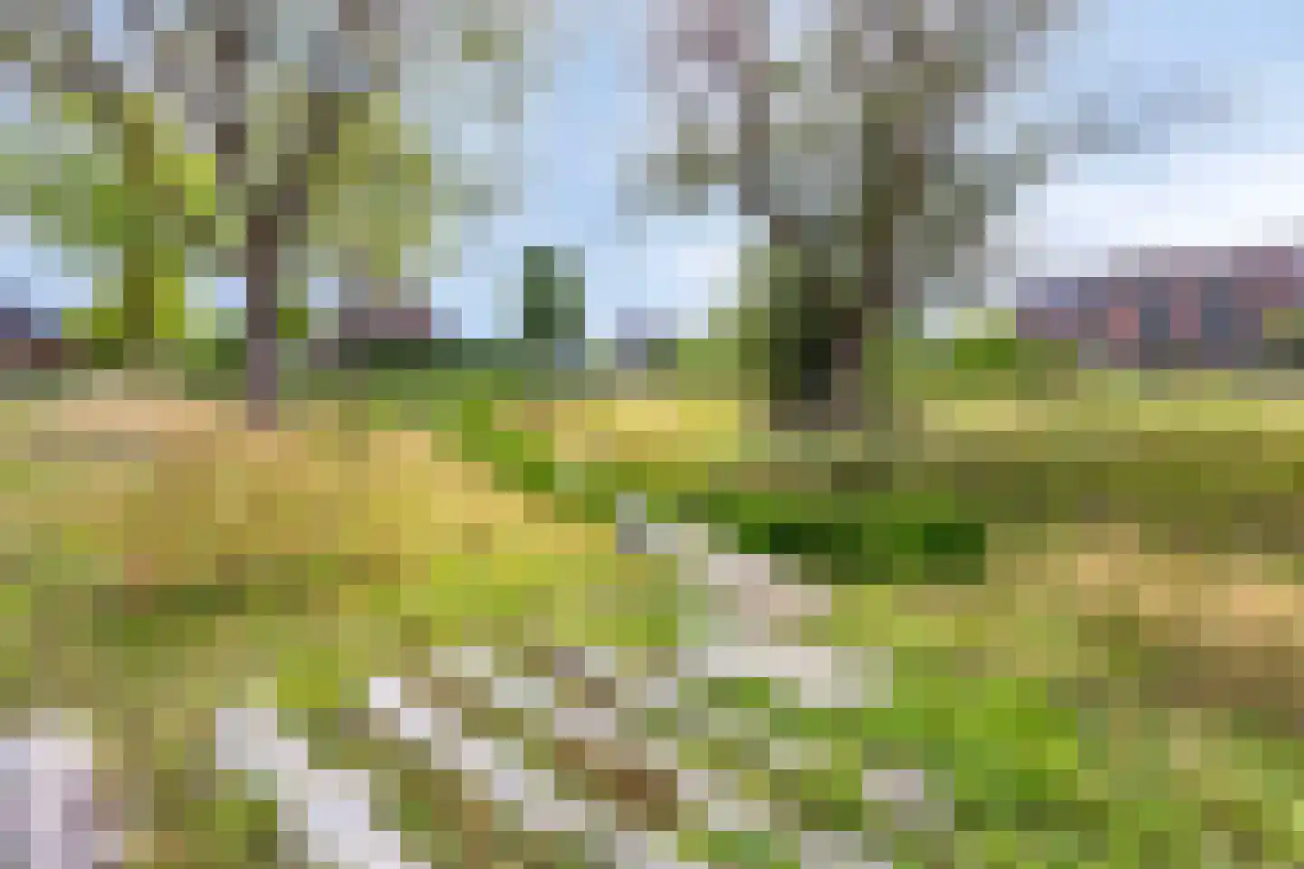 Westermaad 94 Oosterwolde thumbnail 41