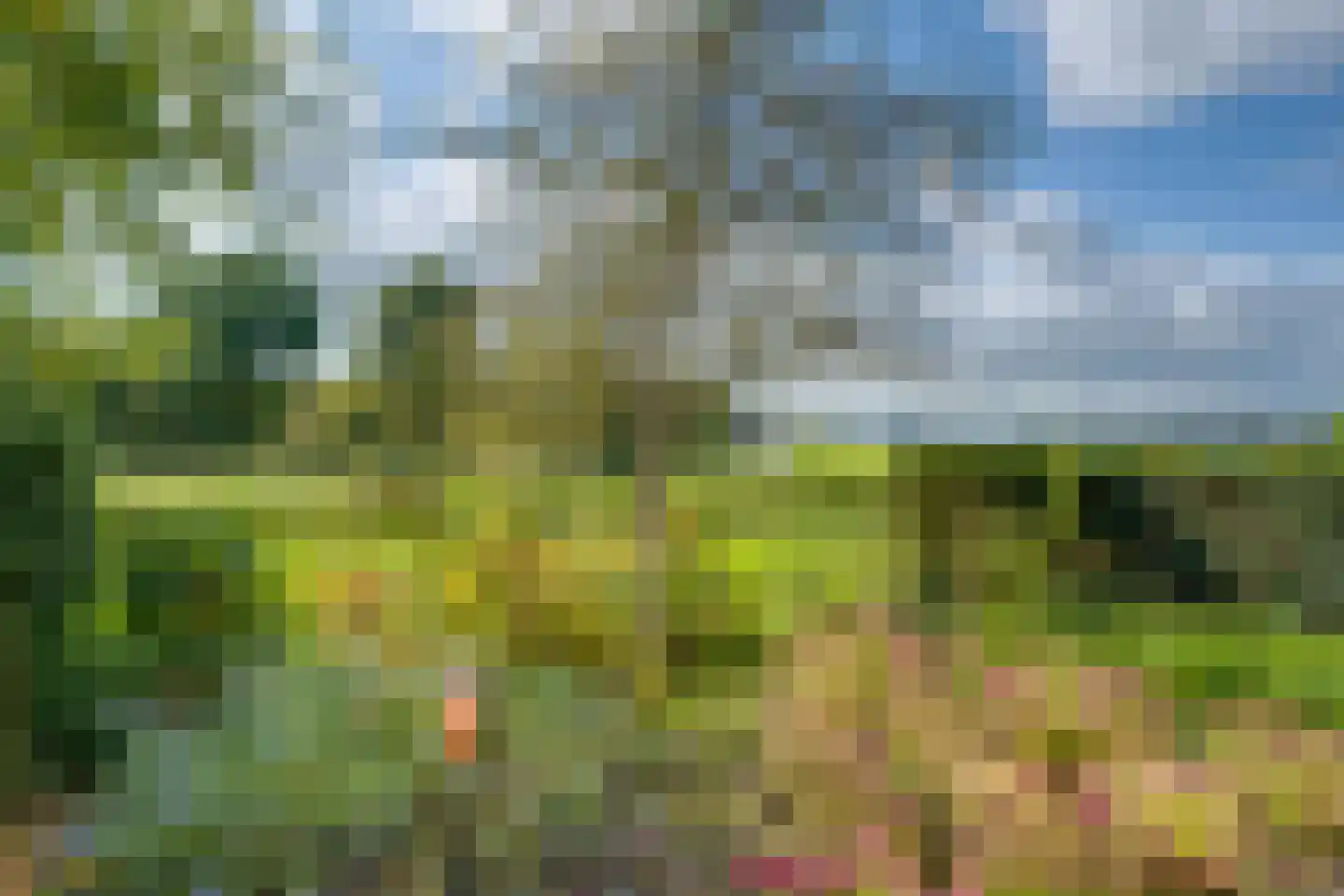 Westermark 75 Laren thumbnail 4