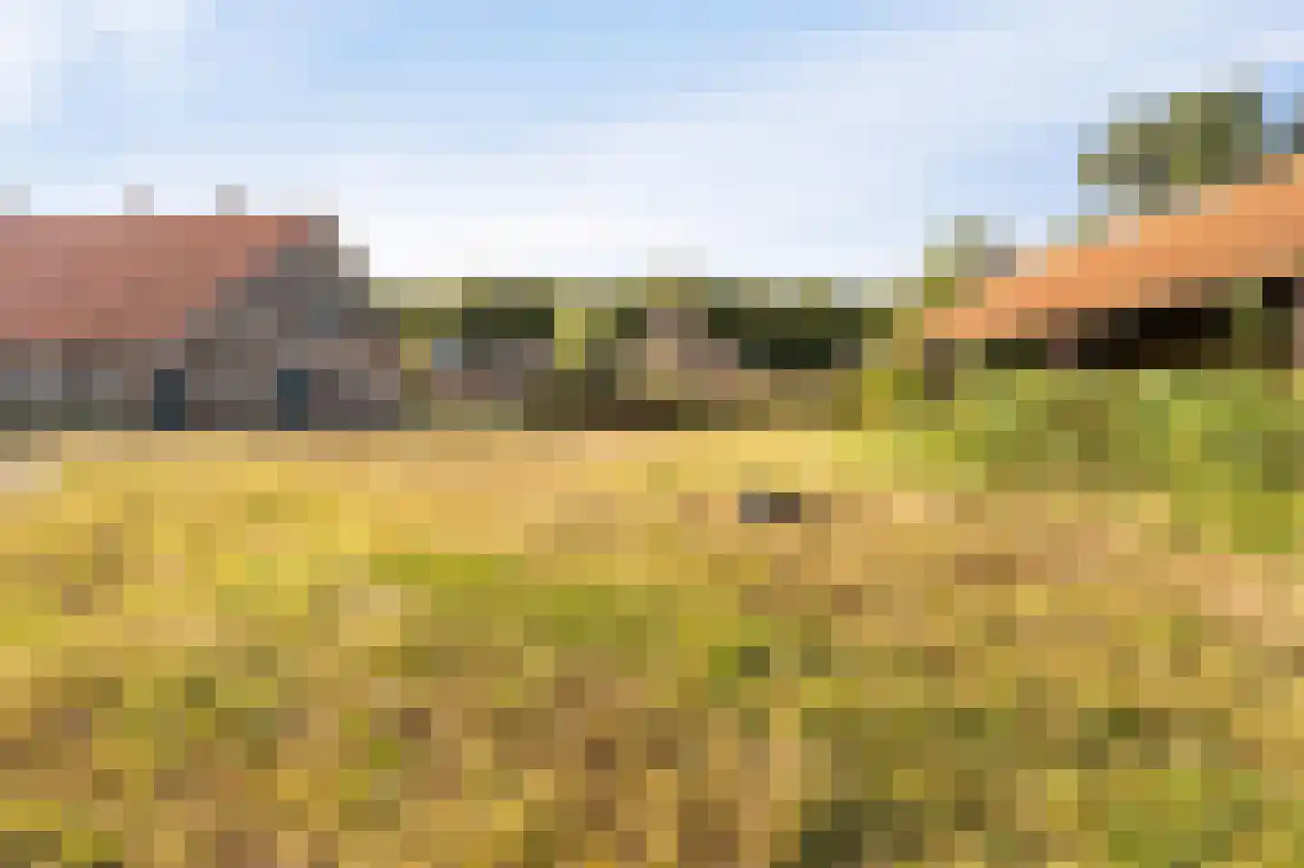 Westermeerweg 3 Tollebeek thumbnail 18
